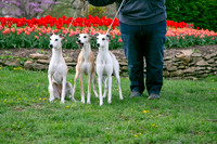 IMG-9882