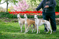 IMG-9874