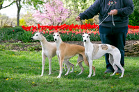 IMG-9872