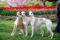 IMG-9871
