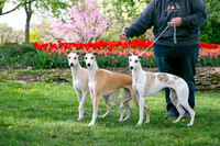 IMG-9873