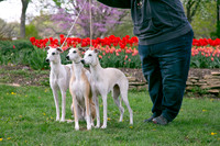 IMG-9890
