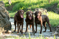 IMG-6423