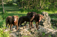 IMG-6414