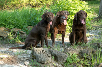IMG-6416