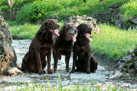 IMG-6426