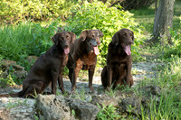 IMG-6418