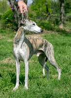 IMG-9712