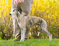 IMG-9653
