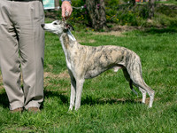 IMG-9691