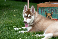 IMG-0912