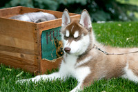 IMG-0903