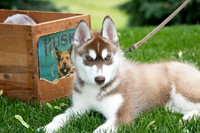 IMG-0911