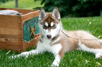 IMG-0904