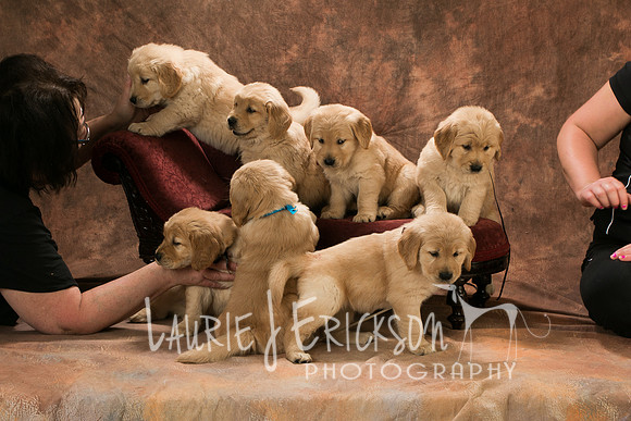 IMG_4580