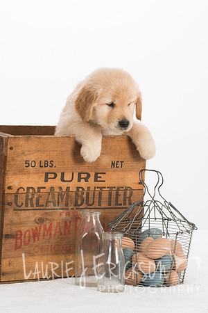 IMG_4465