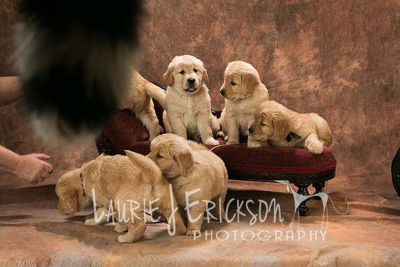 IMG_4577