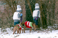 IMG-0901