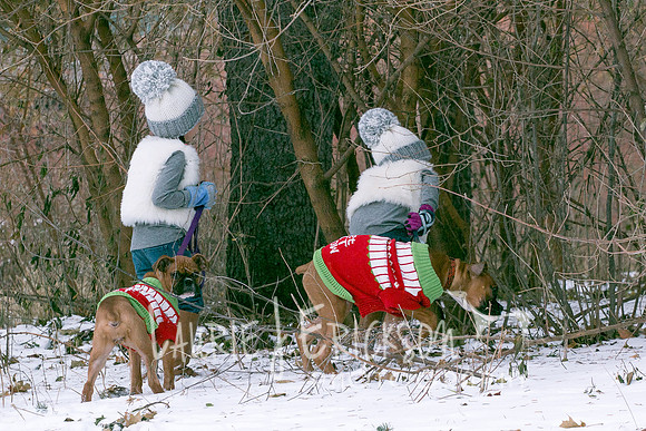 IMG-0902