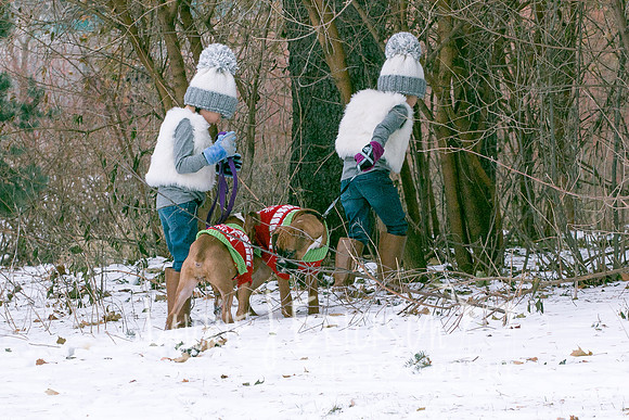 IMG-0900