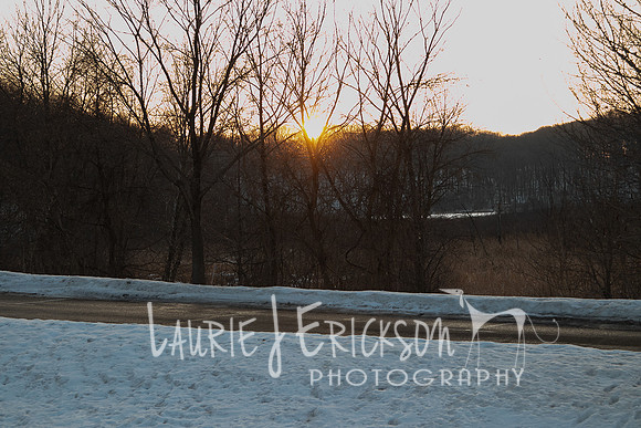 IMG-9855