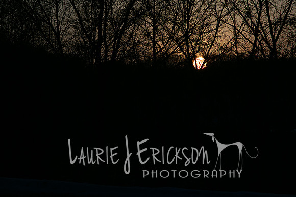 IMG-9861