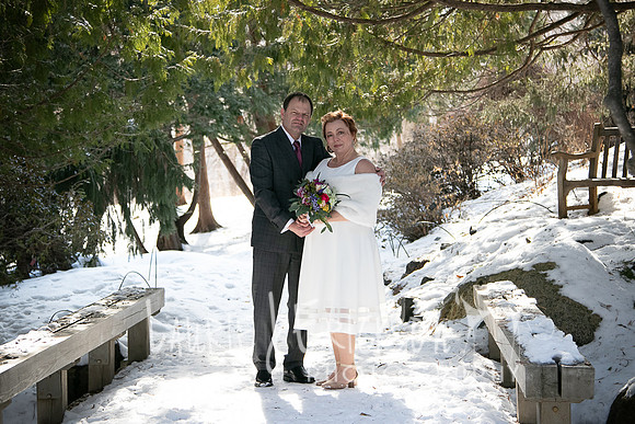 IMG-9441