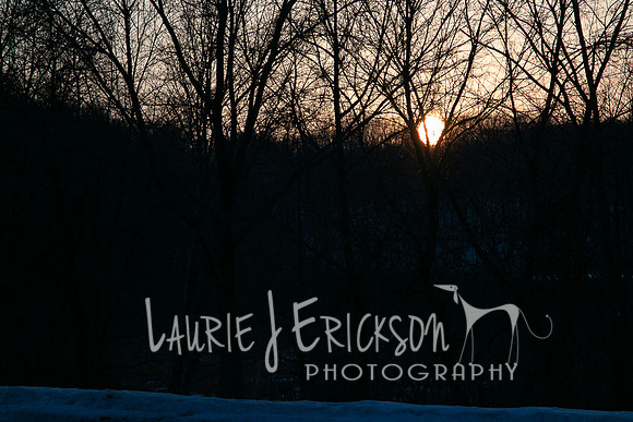 IMG-9858