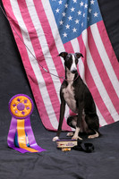 CWA 9-11-2016 Nat'l Portraits and Win photos