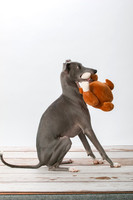 IMG-8983