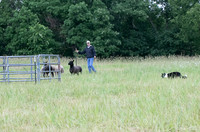 IMG-2731