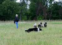IMG-2742
