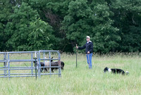 IMG-2732