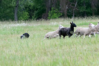 IMG-2734