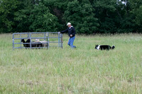 IMG-2741