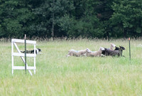 IMG-2733
