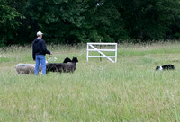 IMG-2745