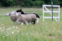 IMG-2739