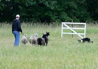 IMG-2748