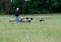IMG-2744