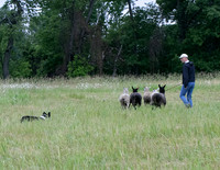IMG-2746
