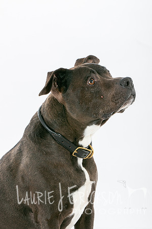 IMG-7368