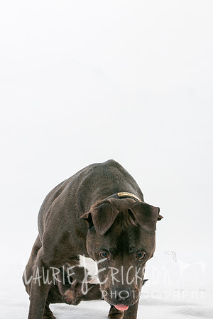 IMG-7410