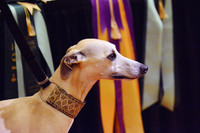 Nikon2014_0423(142)