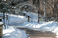 IMG-9245