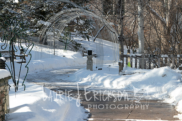 IMG-9245