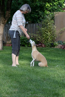 IMG-0665