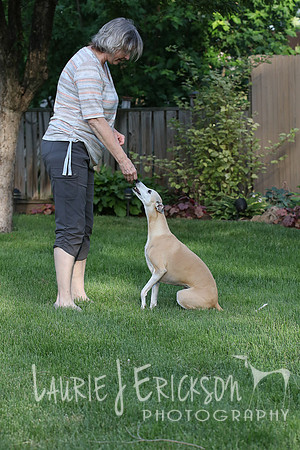 IMG-0665