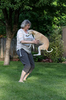 IMG-0669