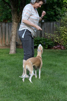 IMG-0654